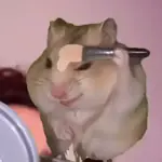 💄 Hamster Maquillándose 🎀💅
