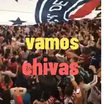 chivas 2026