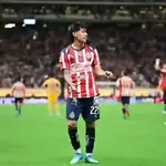 chivas 2026