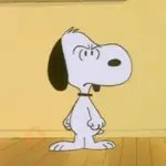 Snoopy/hayley