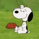 🏠 Snoopy Moods 🦴2️⃣