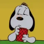 🏠 Snoopy Moods 🦴2️⃣