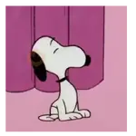 Snoopy 🐾❤️