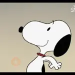 Snoopy 🐾❤️