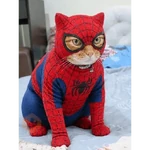 Gato homem aranha