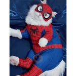 Gato homem aranha