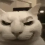 🐈‍⬛🐱🧶 GATOS | CATS 7 🧶🐱🐈‍⬛
