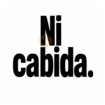Texto Brat Rocha al 💯