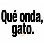Texto Brat Rocha al 💯