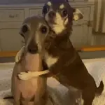 só pra quem ama ❤️