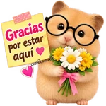Hámsters 🐹 Textos y frases 📲
