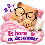 Hámsters 🐹 Textos y frases 📲