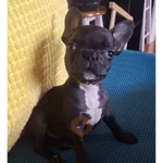 Pibbleschofi