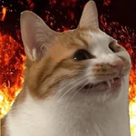REAJA COMO UM GATO 😸