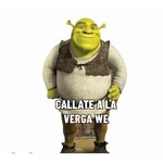 Mis pegatinas