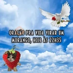 memes