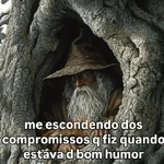 memes