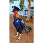 Memes