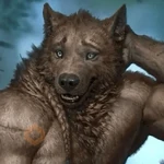 lobos | memes
