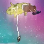 Ardilla 🐿️ Virales de Tiktok