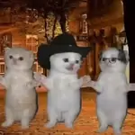 La calabaza TikTok🎃✨