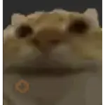 Tiktok comentarios