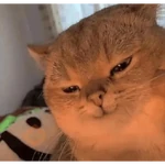 xdxdxdxdxd