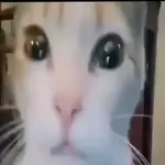 Favoritos Tiktok 5 🥵🥵🥵