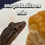 Favoritos Tiktok 5 🥵🥵🥵