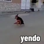 Favoritos Tiktok 5 🥵🥵🥵