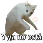 Yo avia ponido 