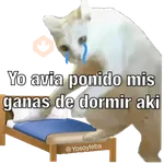 Yo avia ponido 