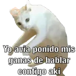Yo avia ponido 