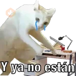 Yo avia ponido 