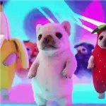 Bailecitos MIX 💃🏻🕺🏻
