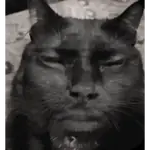 Figurinhas animadas tiktok