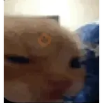Figurinhas animadas tiktok