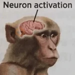 Reacciones de Todo un Poco #5