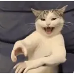 stiker tiktok
