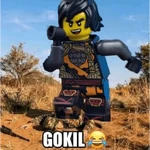 Meme Ninjago