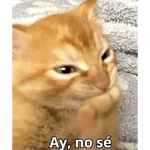 Que risa