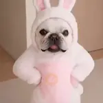 Funny Pibbles 🐾✨