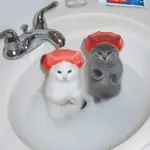Gatinhos Tiktok