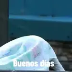 monitos para el uso diario 🐵🐵🐵