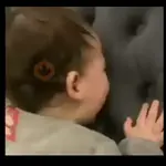 Moods Reacciones de Bebes 👶♥️