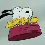🐾🦴Snoopy 🐾🦴