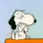 🐾🦴Snoopy 🐾🦴