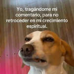 Memes cristianos 💒