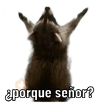 Memes cristianos 💒