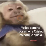 Memes cristianos 💒